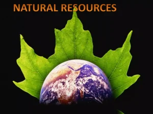 Community-Based Natural Resource Management (CBNRM) Project
